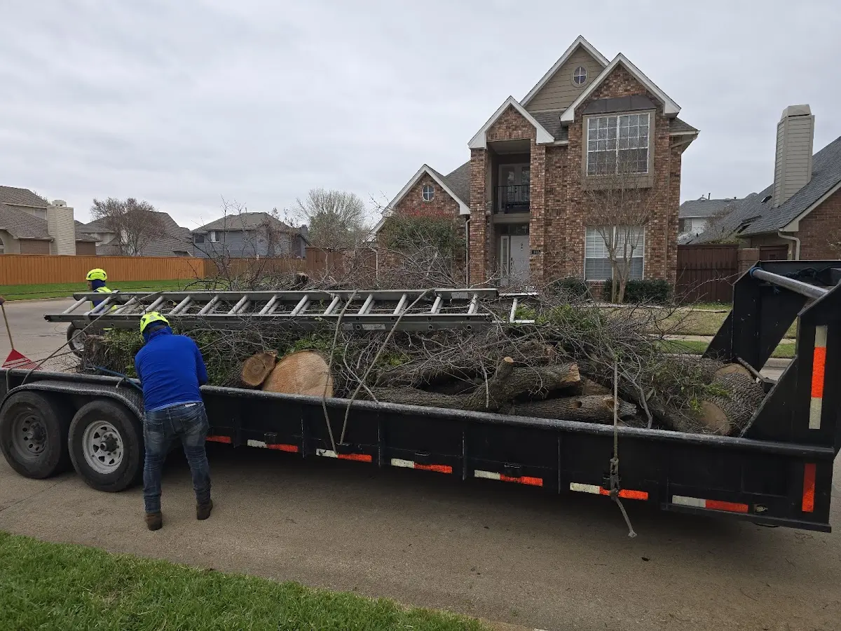 Expert Tree Fertilization with proper safety equipment in Dakota City